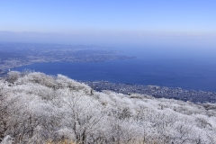 鶴見岳山頂の霧氷